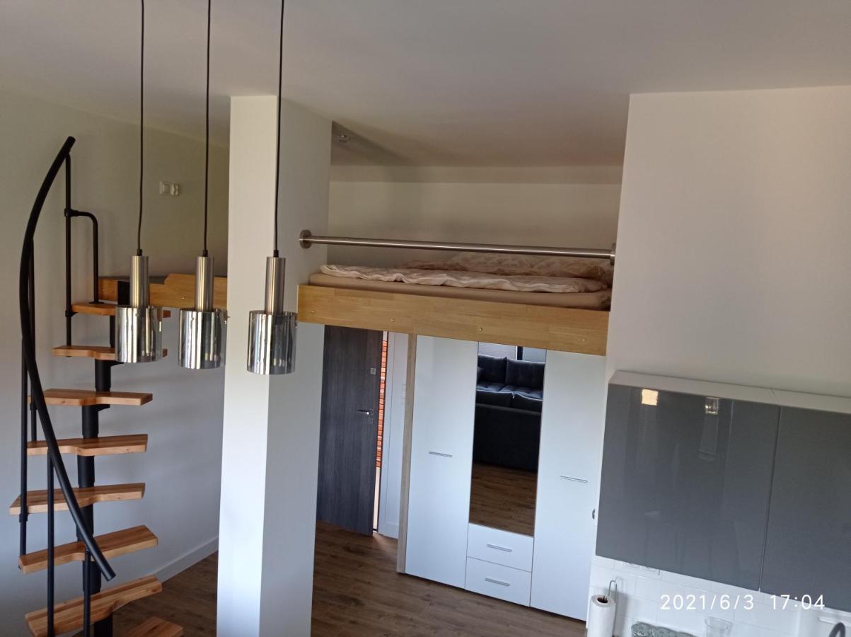 Apartamenty Kasztanowa Zator Luaran gambar